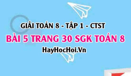 Giải bài 5 trang 30 Toán 8 Tập 1 SGK Chân trời sáng tạo